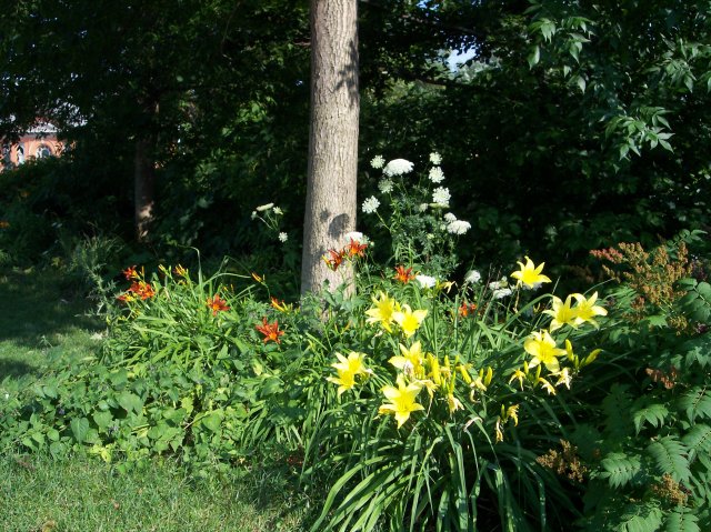 flowers along the path, photo by Joseph Raymond, in Hamilton Ontario, Canada, host site ChristianMuse.com
